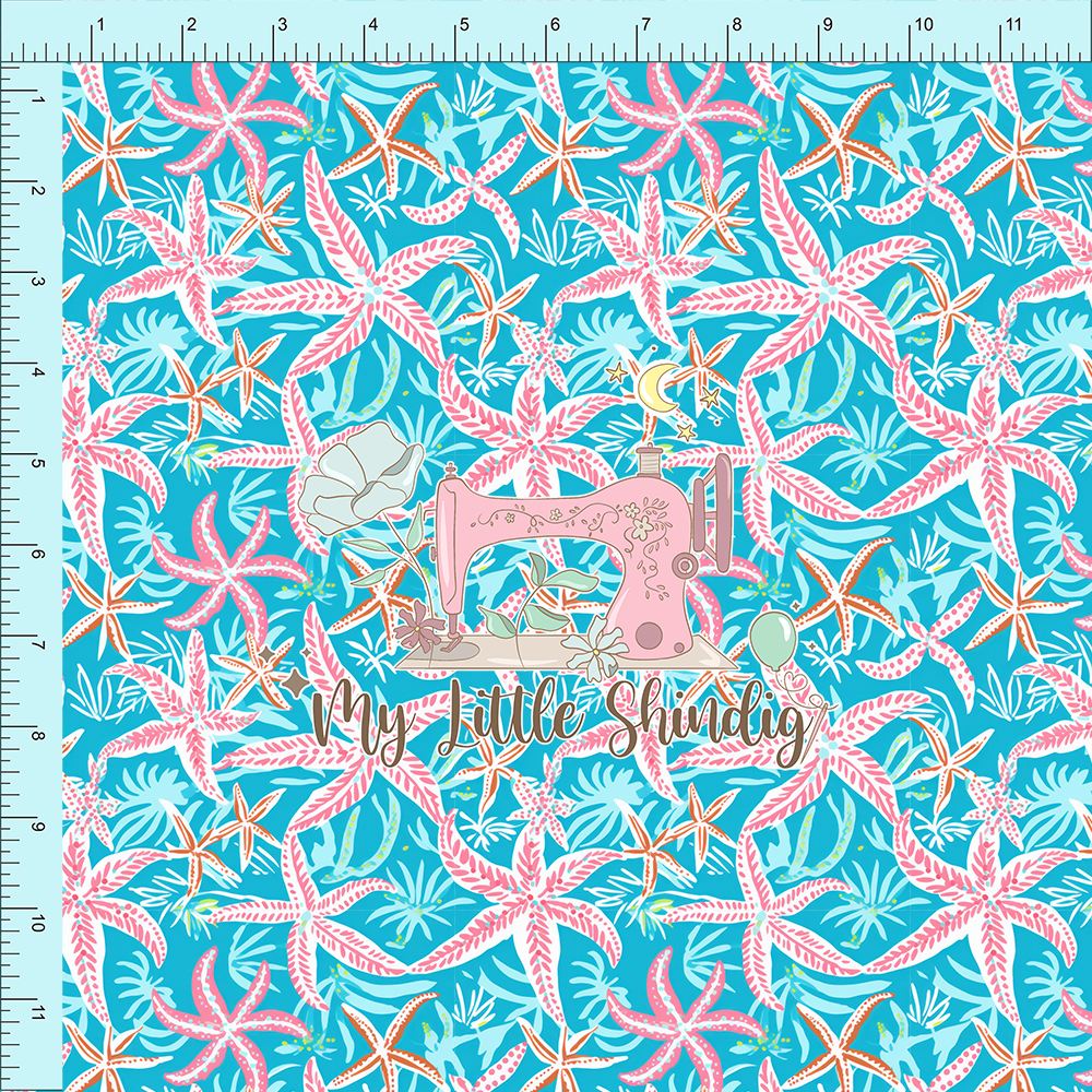 Club 38 | Coastal Stars | Pre-Order