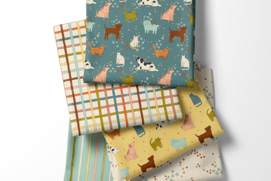 Month 57 - February 2026