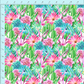 Club 22 | Sunny Succulents | Pre-Order
